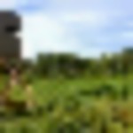 bbade0e85ed92f5b35330df66831198c-e1485957313177-150x150__resize-thumb
