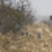bce857fe-3cb7-4356-a7b7-5d91f12be090__resize-thumb