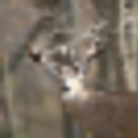 be2__resize-thumb