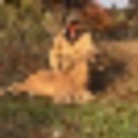 ben_aoudad__resize-thumb