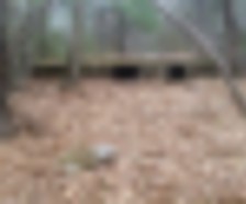 Black Hut WMA 1,548 Acres for Deer Hunt in South of Burrillville,Providence,RI