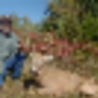 big_2001__resize-thumb