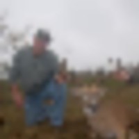 big_2011__resize-thumb
