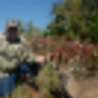 big_2021__resize-thumb