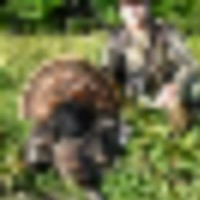 big_2081__resize-thumb