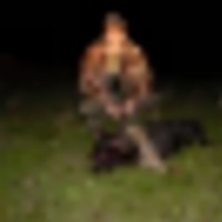 big_641__resize-thumb