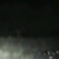 bigdeers2__resize-thumb