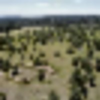 Black Forest 105 images 1