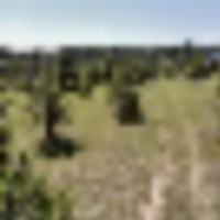 Black Forest 105 images 2