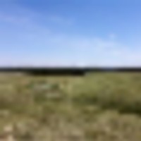 Black Forest 105 images 3
