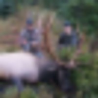 Single hunt or multi year Large hunting leases images 1