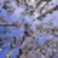 Brumley Aspen Waters Ranch images 4