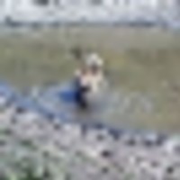 bullmiddlepond__resize-thumb
