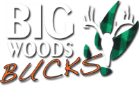 Big Woods Bucks