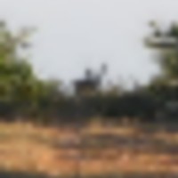 bwj_2010-2011_023__resize-thumb
