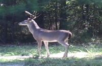 Pine Ridge Hunting Club