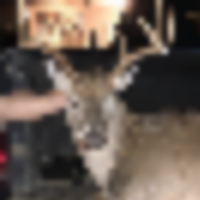 c4c5835b-c529-4236-9da4-60d147c14565__resize-thumb