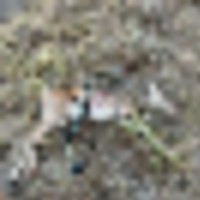 c62a6e5f-7eb4-4846-a49a-f0733134c32f__resize-thumb