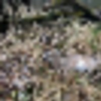 c72aefc5-cb73-405a-8099-ce1413a11baa__resize-thumb