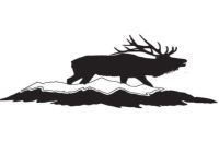 Sierra Blanca Outfitters & Hunt Club