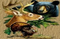 Full Fan Lodge & Hunt Club