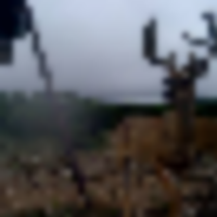 capture__resize-thumb