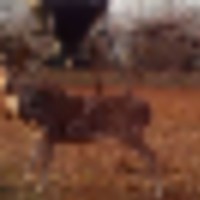 capture__resize-thumb
