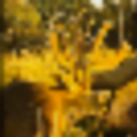 capture__resize-thumb