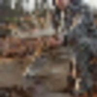 capture__resize-thumb