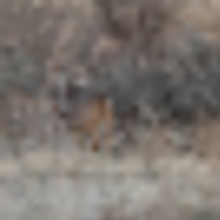 capture__resize-thumb