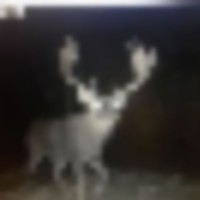 Hunting lease 32 acres in Somerset, WI