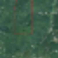 Deer Hunting Lease 706 Acres in Cattaraugus County, NY