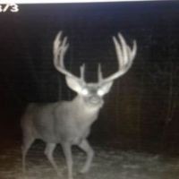 Hunting lease 32 acres in Somerset, WI