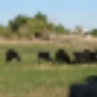 Cattle Ranch with Water Rights   Productive Orchard For Sale in Dolores  CO images 3