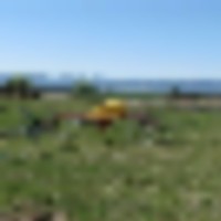 Cattle Ranch with Water Rights   Productive Orchard For Sale in Dolores  CO images 4