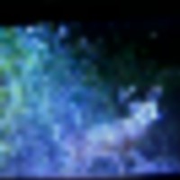 ce8a2fa1-aad3-43d0-94b4-1a7398ed3b5f__resize-thumb