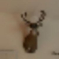 1600 acres Short time Camping sites. Club rules include size limits on deer