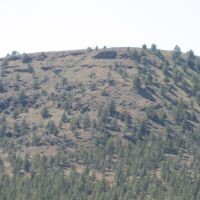 Bologna Basin-Blue Mountains lease