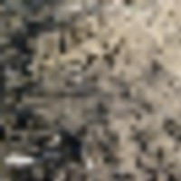 clark3__resize-thumb