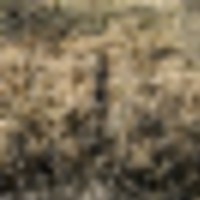 clarke2__resize-thumb