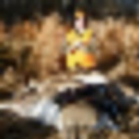 comb3__resize-thumb