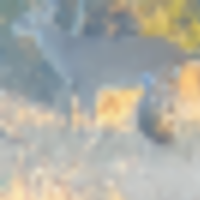 corner_12__resize-thumb