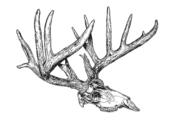 Straight Arrow Outfitters