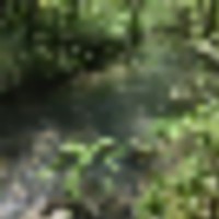 culbertson_3__resize-thumb