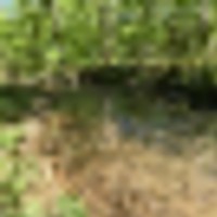 culbertson__resize-thumb