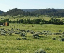 Custer Gallatin Ranch