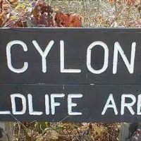 Cylon Marsh WMA - 507 acres for hunting Duck in St. Croix, WI