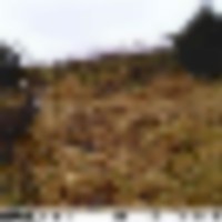 d1__resize-thumb