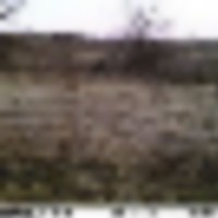 d4__resize-thumb
