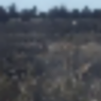 de0386bd-f016-4aa5-8448-3f926285540d__resize-thumb